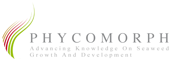logo-phycomorph