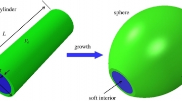 Jia figure_article Charrier.jpg