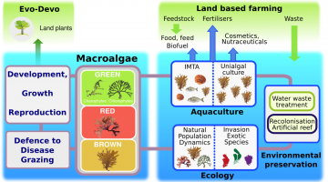 Figure_1_pour site web Phycomorph.png